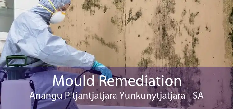 Mould Remediation Anangu Pitjantjatjara Yunkunytjatjara - SA