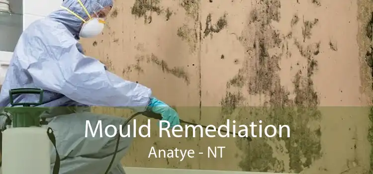 Mould Remediation Anatye - NT