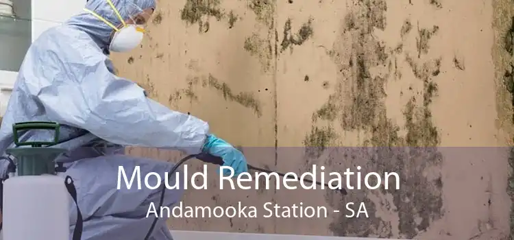 Mould Remediation Andamooka Station - SA