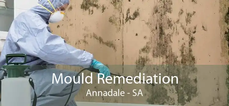 Mould Remediation Annadale - SA