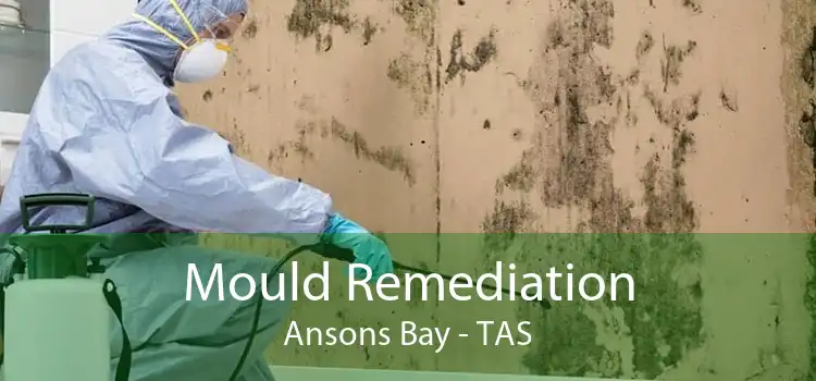 Mould Remediation Ansons Bay - TAS