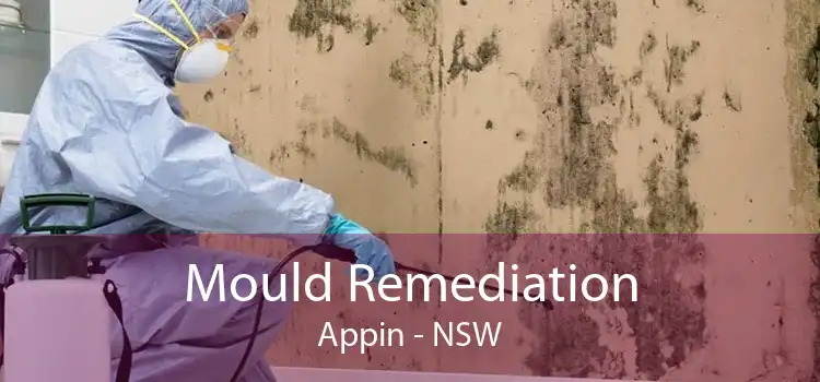 Mould Remediation Appin - NSW