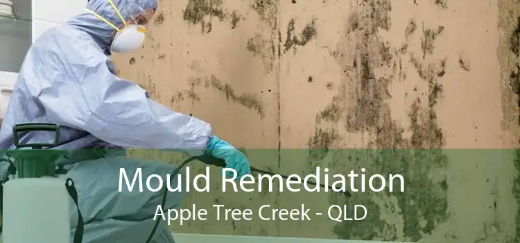 Mould Remediation Apple Tree Creek - QLD