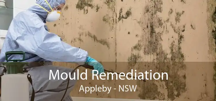 Mould Remediation Appleby - NSW