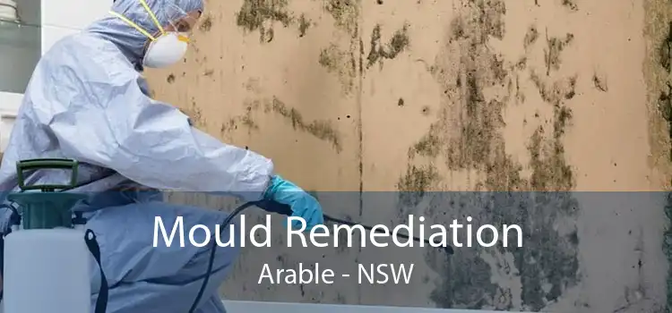 Mould Remediation Arable - NSW