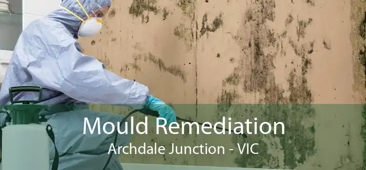 Mould Remediation Archdale Junction - VIC