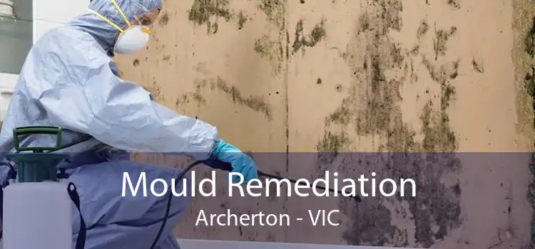 Mould Remediation Archerton - VIC