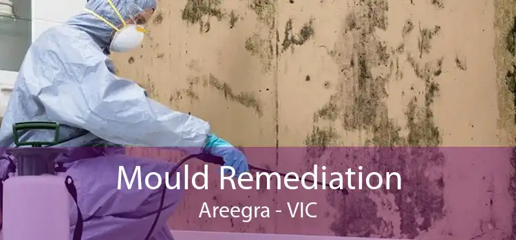 Mould Remediation Areegra - VIC