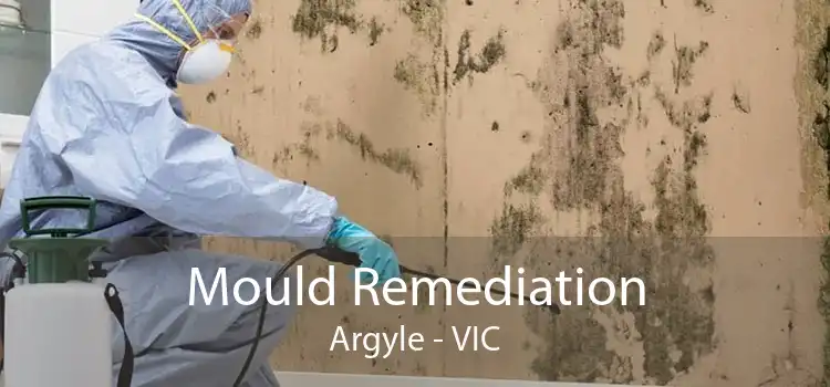 Mould Remediation Argyle - VIC