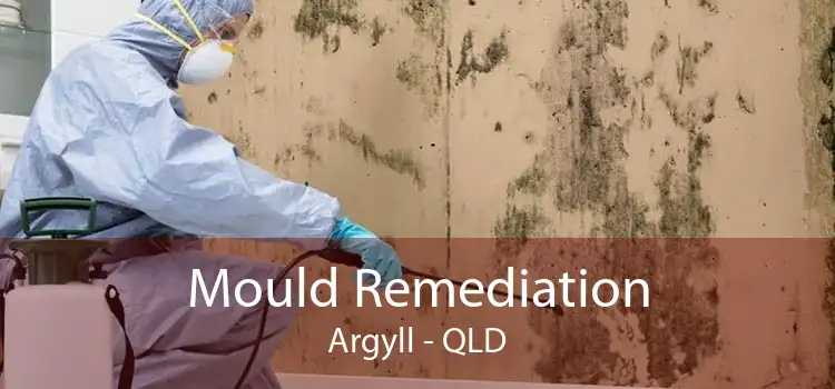 Mould Remediation Argyll - QLD