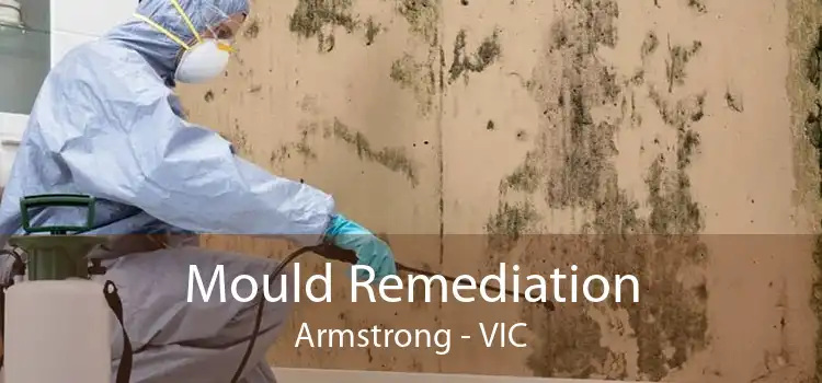 Mould Remediation Armstrong - VIC