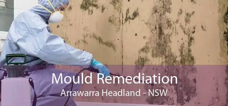 Mould Remediation Arrawarra Headland - NSW