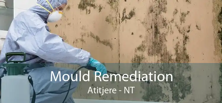 Mould Remediation Atitjere - NT