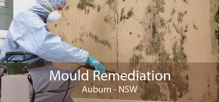 Mould Remediation Auburn - NSW