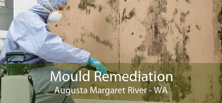 Mould Remediation Augusta Margaret River - WA