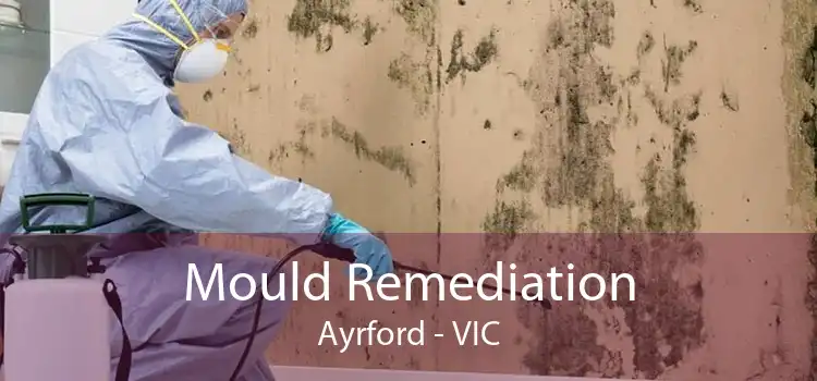 Mould Remediation Ayrford - VIC