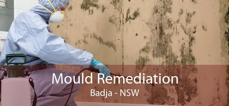 Mould Remediation Badja - NSW