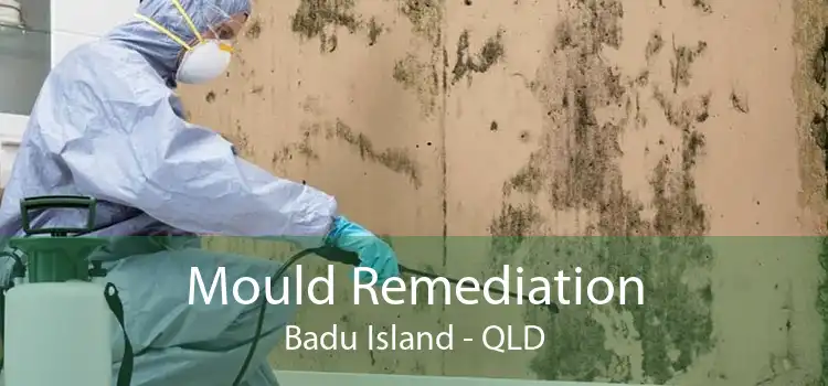 Mould Remediation Badu Island - QLD