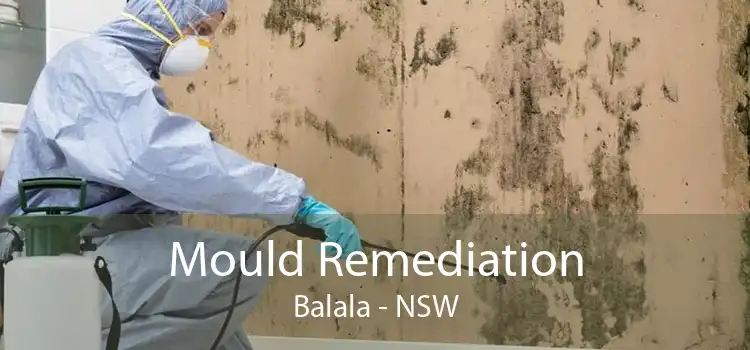 Mould Remediation Balala - NSW