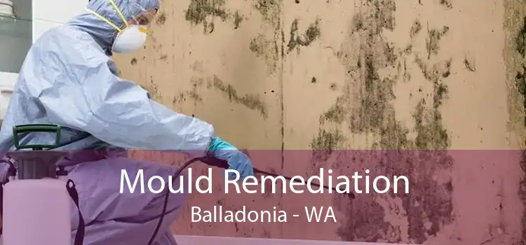 Mould Remediation Balladonia - WA