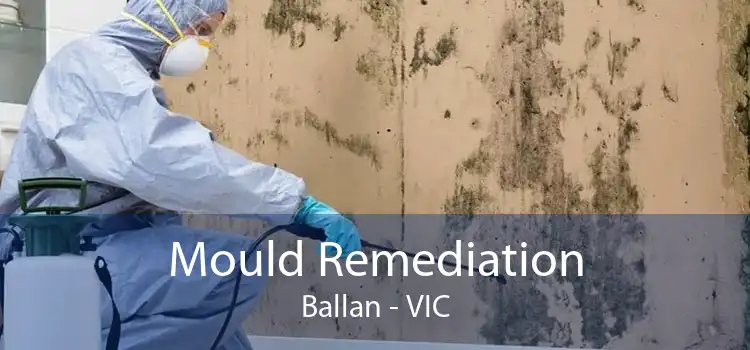 Mould Remediation Ballan - VIC