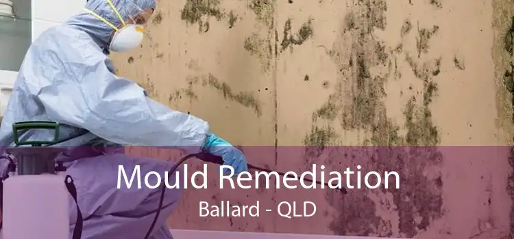 Mould Remediation Ballard - QLD