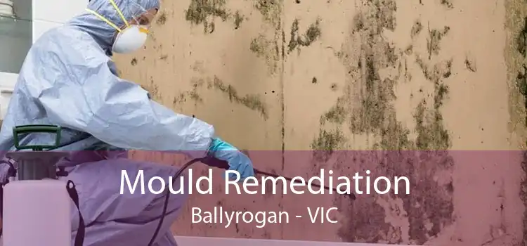 Mould Remediation Ballyrogan - VIC