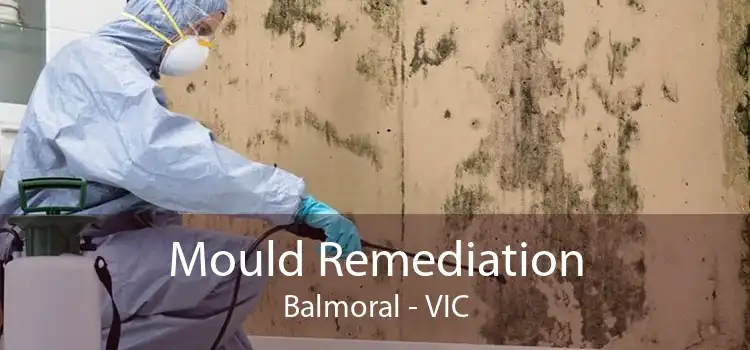 Mould Remediation Balmoral - VIC