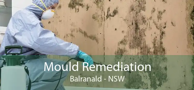 Mould Remediation Balranald - NSW