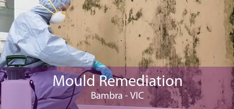 Mould Remediation Bambra - VIC