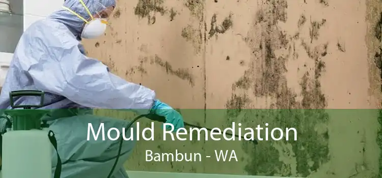 Mould Remediation Bambun - WA