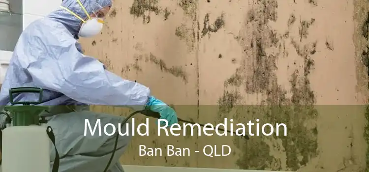 Mould Remediation Ban Ban - QLD
