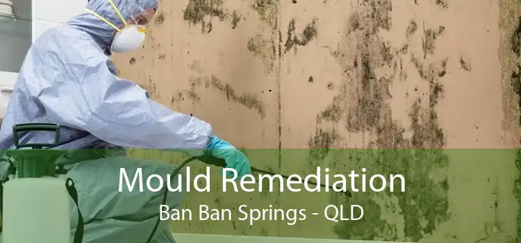 Mould Remediation Ban Ban Springs - QLD