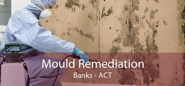 Mould Remediation Banks - ACT