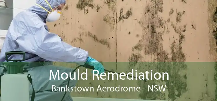 Mould Remediation Bankstown Aerodrome - NSW