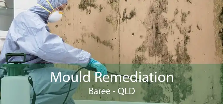 Mould Remediation Baree - QLD