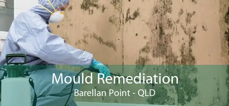 Mould Remediation Barellan Point - QLD