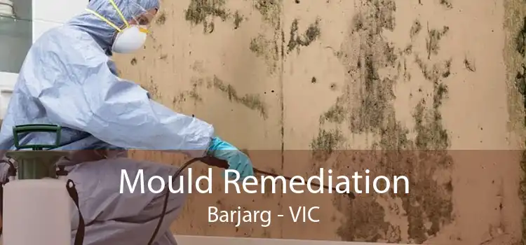 Mould Remediation Barjarg - VIC