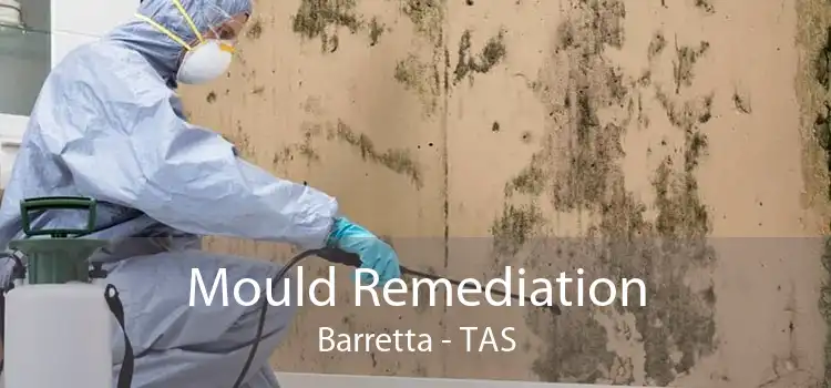 Mould Remediation Barretta - TAS