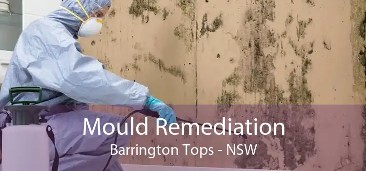 Mould Remediation Barrington Tops - NSW