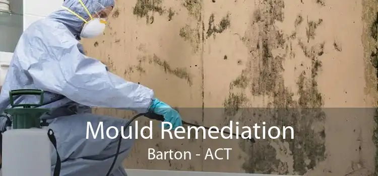 Mould Remediation Barton - ACT