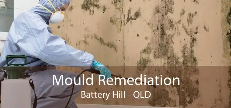 Mould Remediation Battery Hill - QLD