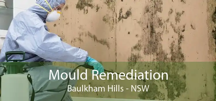 Mould Remediation Baulkham Hills - NSW