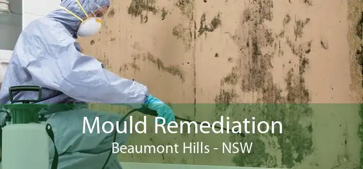 Mould Remediation Beaumont Hills - NSW