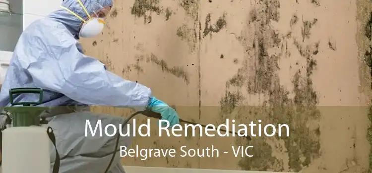 Mould Remediation Belgrave South - VIC