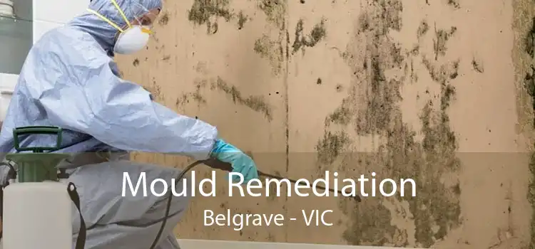 Mould Remediation Belgrave - VIC