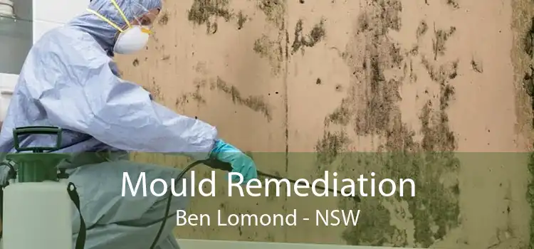 Mould Remediation Ben Lomond - NSW