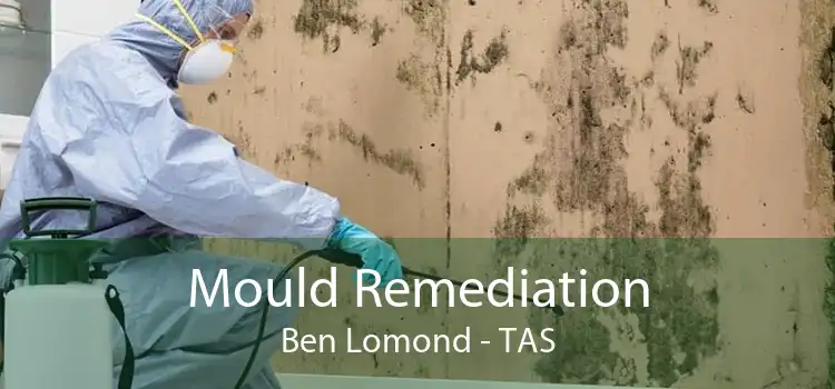 Mould Remediation Ben Lomond - TAS