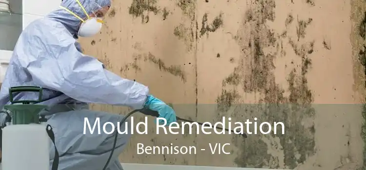 Mould Remediation Bennison - VIC