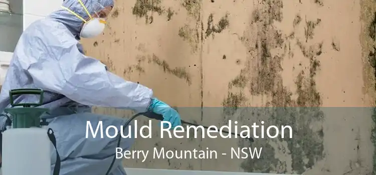 Mould Remediation Berry Mountain - NSW